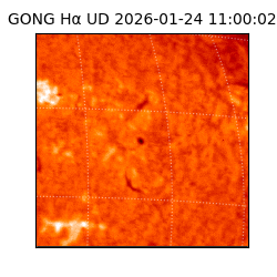 gong - 2026-01-24T11:00:02