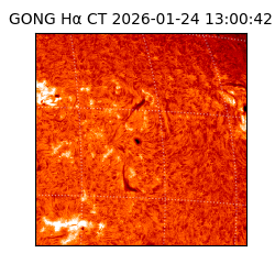 gong - 2026-01-24T13:00:42