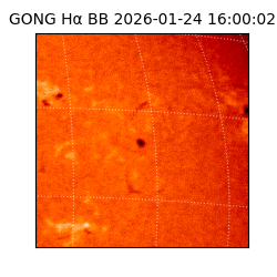 gong - 2026-01-24T16:00:02