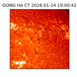 gong - 2026-01-24T19:00:42