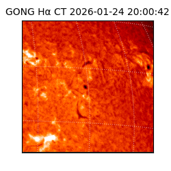 gong - 2026-01-24T20:00:42