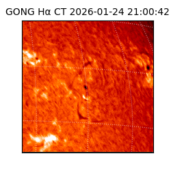 gong - 2026-01-24T21:00:42