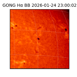 gong - 2026-01-24T23:00:02