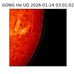 gong - 2026-01-24T03:01:02