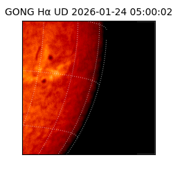 gong - 2026-01-24T05:00:02