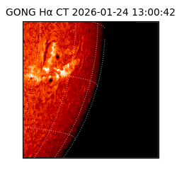 gong - 2026-01-24T13:00:42