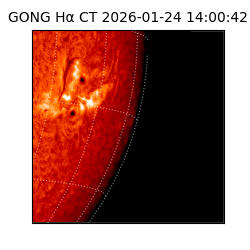 gong - 2026-01-24T14:00:42