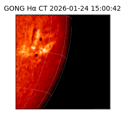 gong - 2026-01-24T15:00:42