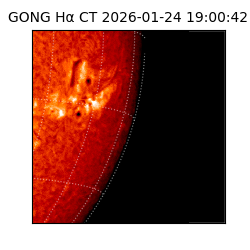gong - 2026-01-24T19:00:42