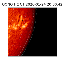 gong - 2026-01-24T20:00:42