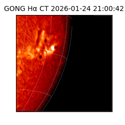 gong - 2026-01-24T21:00:42