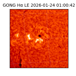 gong - 2026-01-24T01:00:42