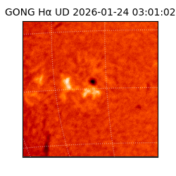 gong - 2026-01-24T03:01:02