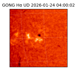 gong - 2026-01-24T04:00:02