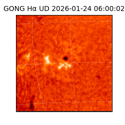 gong - 2026-01-24T06:00:02