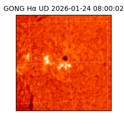 gong - 2026-01-24T08:00:02