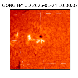 gong - 2026-01-24T10:00:02