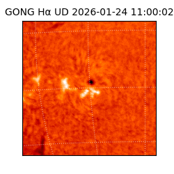 gong - 2026-01-24T11:00:02