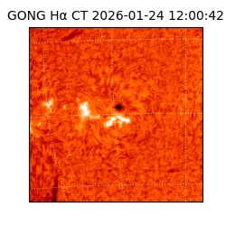 gong - 2026-01-24T12:00:42