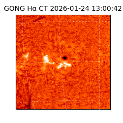 gong - 2026-01-24T13:00:42