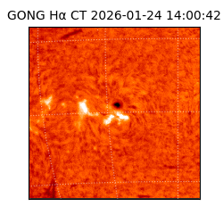 gong - 2026-01-24T14:00:42