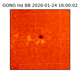 gong - 2026-01-24T16:00:02