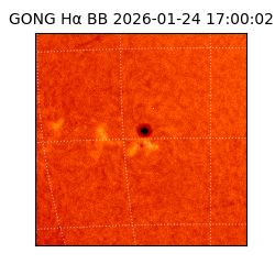 gong - 2026-01-24T17:00:02