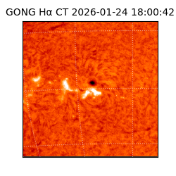 gong - 2026-01-24T18:00:42