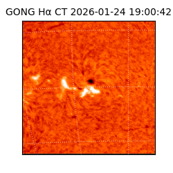 gong - 2026-01-24T19:00:42