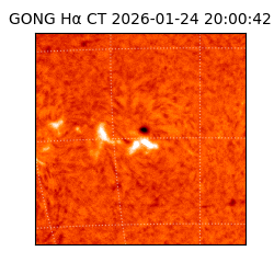 gong - 2026-01-24T20:00:42