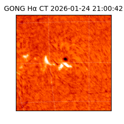 gong - 2026-01-24T21:00:42