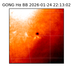 gong - 2026-01-24T22:13:02