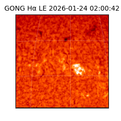 gong - 2026-01-24T02:00:42