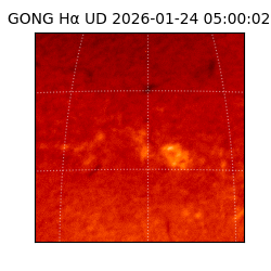 gong - 2026-01-24T05:00:02