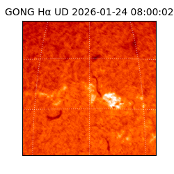 gong - 2026-01-24T08:00:02