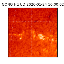 gong - 2026-01-24T10:00:02