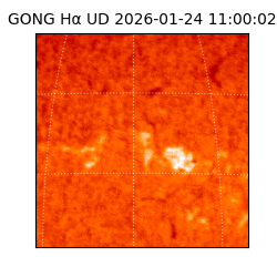 gong - 2026-01-24T11:00:02