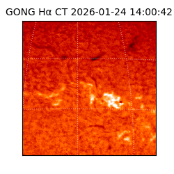 gong - 2026-01-24T14:00:42