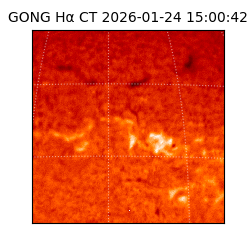 gong - 2026-01-24T15:00:42