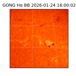 gong - 2026-01-24T16:00:02