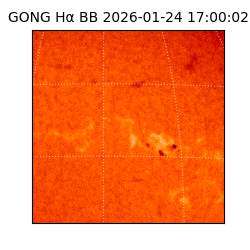 gong - 2026-01-24T17:00:02