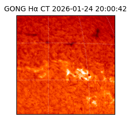 gong - 2026-01-24T20:00:42