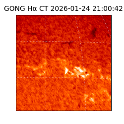 gong - 2026-01-24T21:00:42