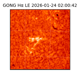 gong - 2026-01-24T02:00:42