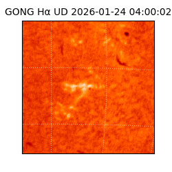 gong - 2026-01-24T04:00:02