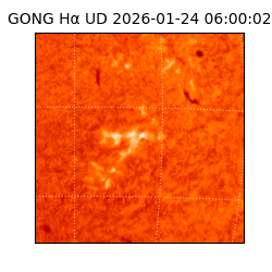 gong - 2026-01-24T06:00:02