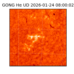 gong - 2026-01-24T08:00:02