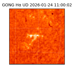 gong - 2026-01-24T11:00:02