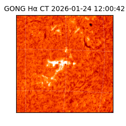 gong - 2026-01-24T12:00:42