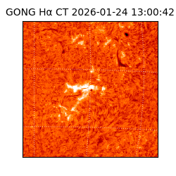 gong - 2026-01-24T13:00:42